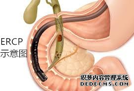 1511795737537005.jpg images_副本.jpg