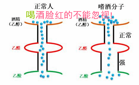 1519728511266732.gif 微信图片_20180227181458_副本.gif