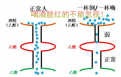 1519728479932445.gif 微信图片_20180227181453.gif