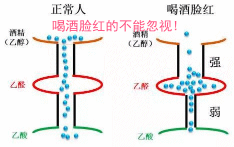 1519728419651399.gif 微信图片_20180227180043.gif