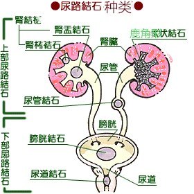 1518618519456465.jpg 1518618519456465.jpg