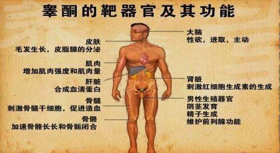 1514950857999049.jpg 1514950857999049.jpg